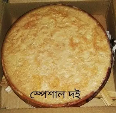 বগুড়ার স্পেশাল দই